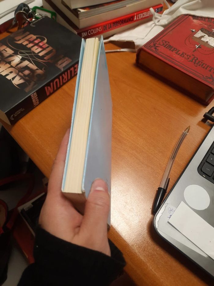 Livre 1 parlement burlesque - photo numéro 7