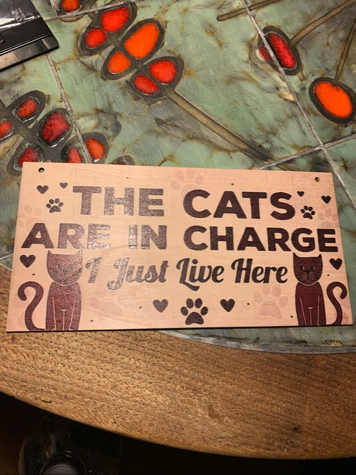 Pancarte chats