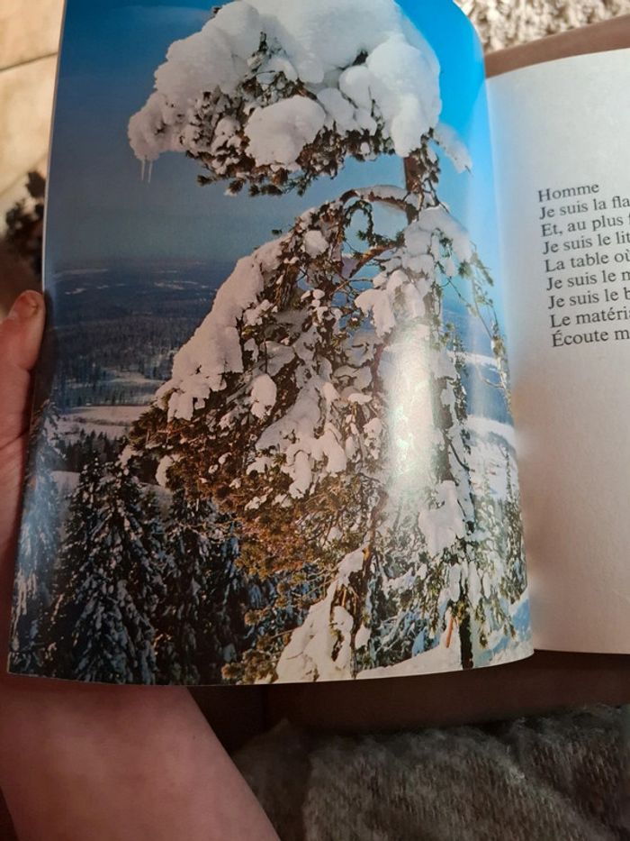 Le grand livre de la forêt. - photo numéro 16