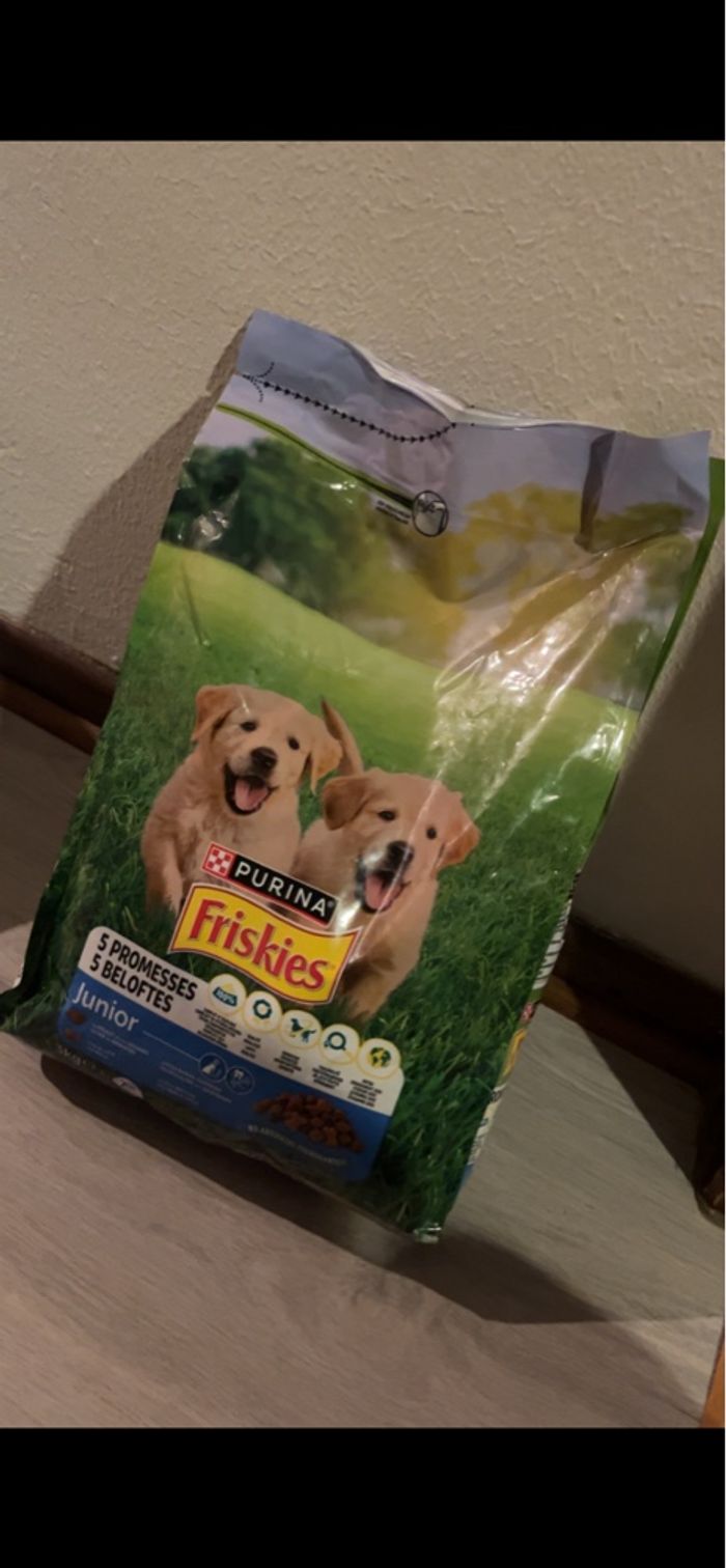 Accessoire chiot - photo numéro 3