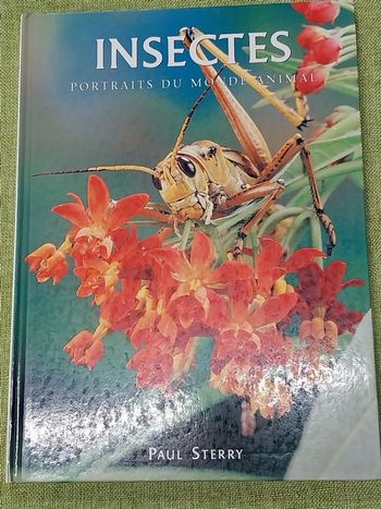 Insectes portrait du monde animal livre enfants