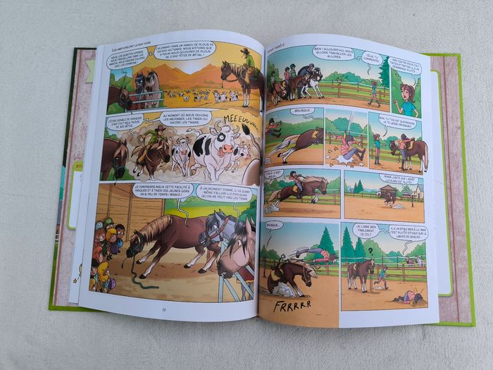 Livre À cheval Delcourt - photo numéro 6
