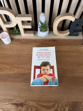 Livre Petits tracas et gros soucis de 1 à 7 ans