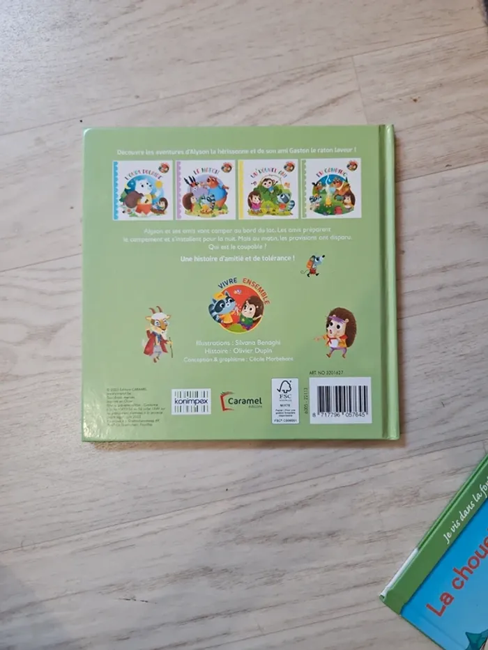 Livre enfant en camping - photo numéro 3