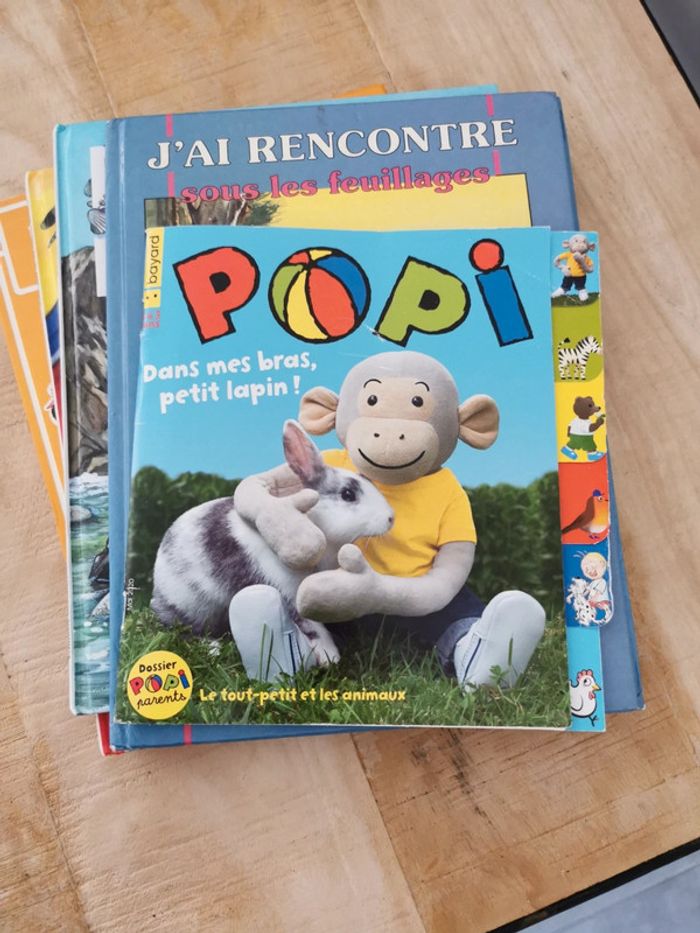 Lots de livres - photo numéro 6