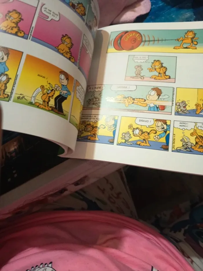 Garfield 21 - photo numéro 6