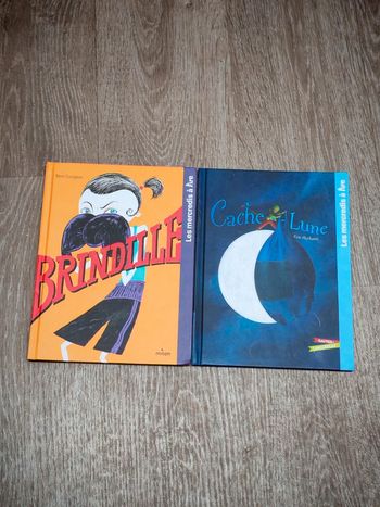 Livre les mercredis à lire . Brindille - Cache-lune