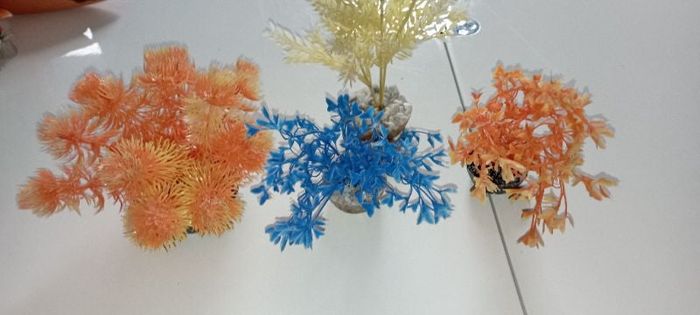Déco aquarium