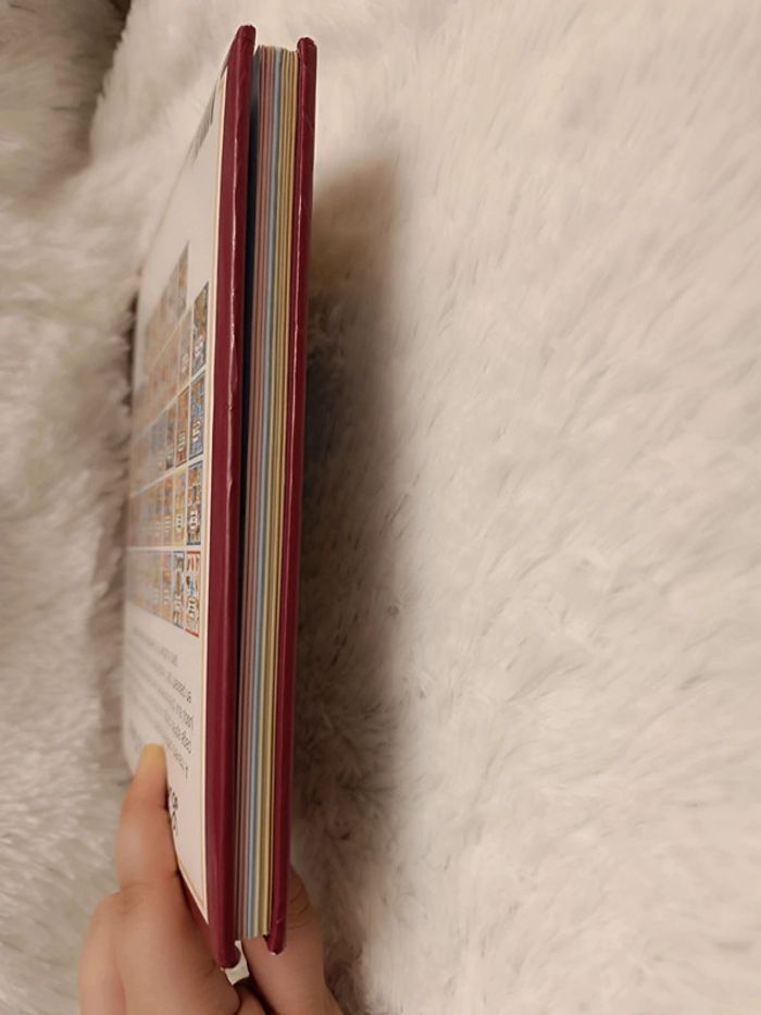 Livre : L'imagerie de la Terre _ Vintage - Y2K 1995 - photo numéro 10