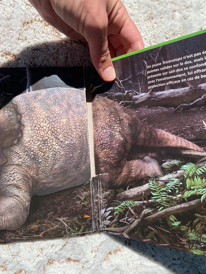 Livre pop up je suis un tricératops - photo numéro 9