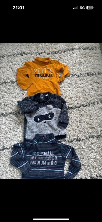 Lot 3 pull 18 mois très bon état