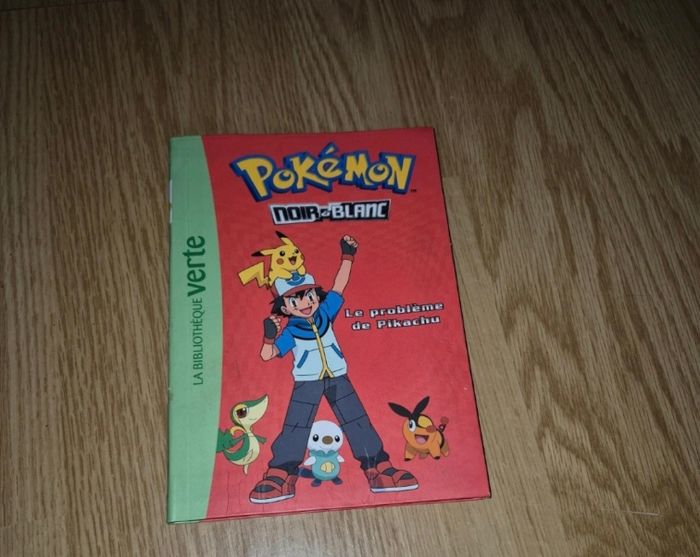Livre Pokemon - photo numéro 1