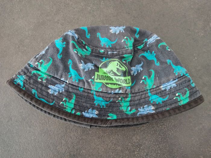 Chapeau dinosaures