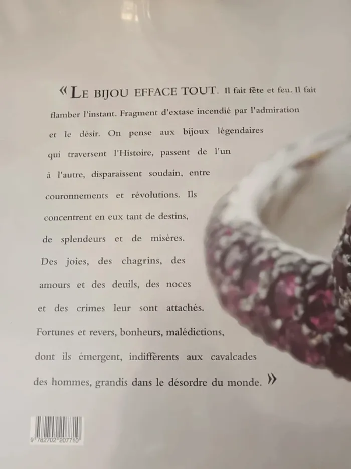 Livre Boucheron la capture de l'éclat - photo numéro 17