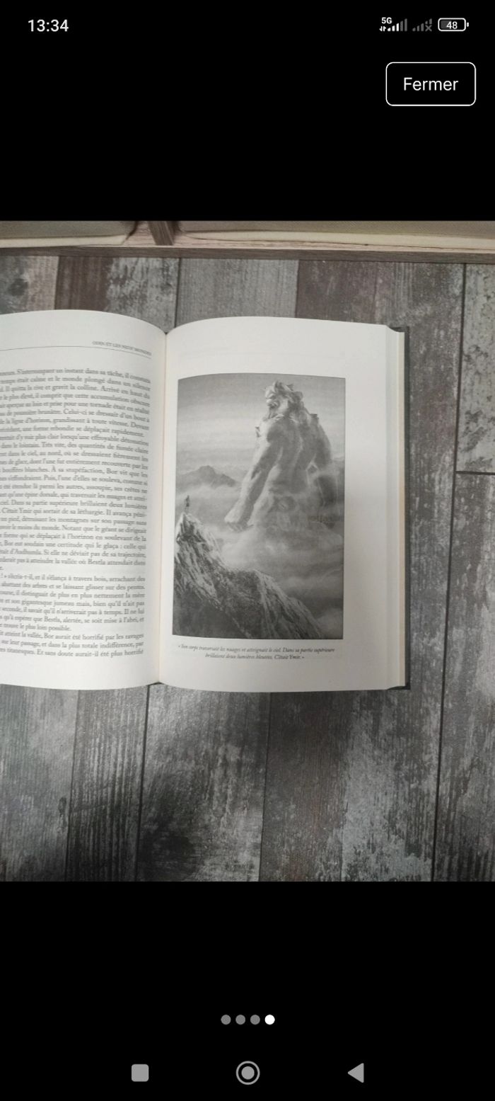 Livre Odin et les neufs mondes - photo numéro 4