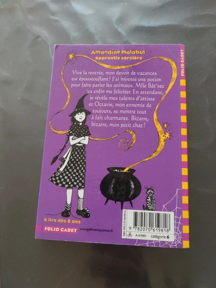 Livre la sorcière a la rescousse - photo numéro 2
