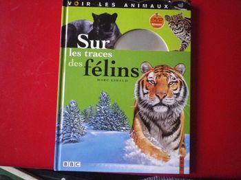 SUR LES TRACES DES FELINS