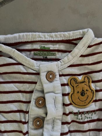 Grenouillère Disney