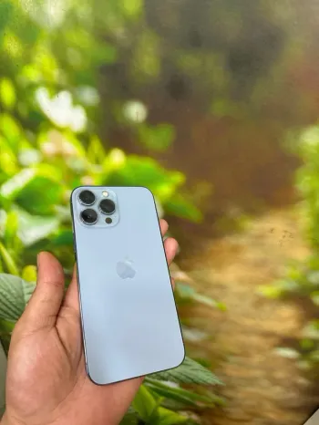 Iphone 13 pro max · 256 Go · Gris sidéral