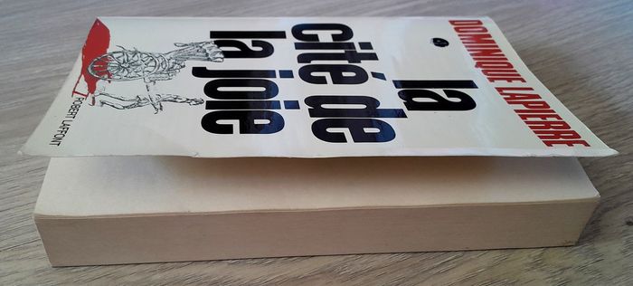 Dominique lapierre - la cité de la joie - photo numéro 7