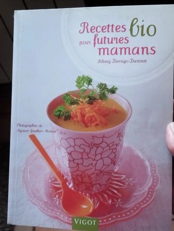 Neuf Livre Recettes bio pour futures mamans Solveig Darrigo Dartinet diététicienne