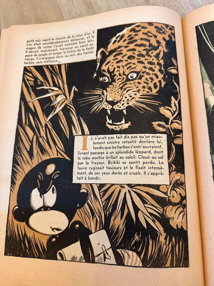 Livre ancien rare Birikiki dans la forêt vierge Roger Roux Pierre Probst éditions puits pelu Lyon - photo numéro 11