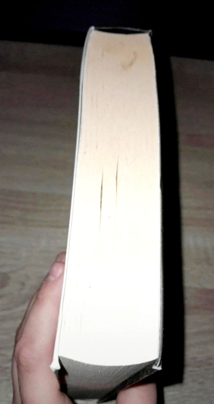 Deux dans Berlin Birkefled et Hachmeister - photo numéro 2