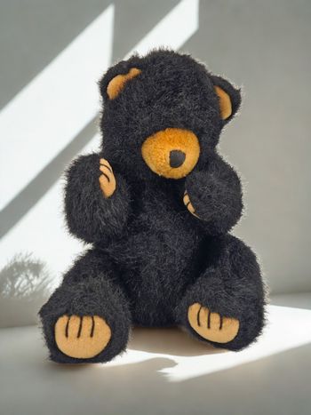Peluche Ours Noir Blacky Russ Berrie