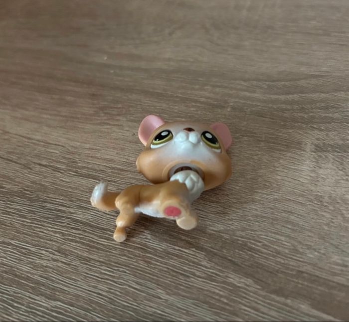 Petshop Chien #183 - photo numéro 2