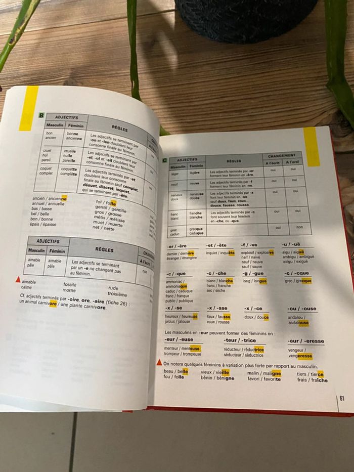 Beschetelle l’orthographe pour tous - photo numéro 4