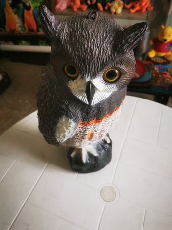 Hibou décoratif