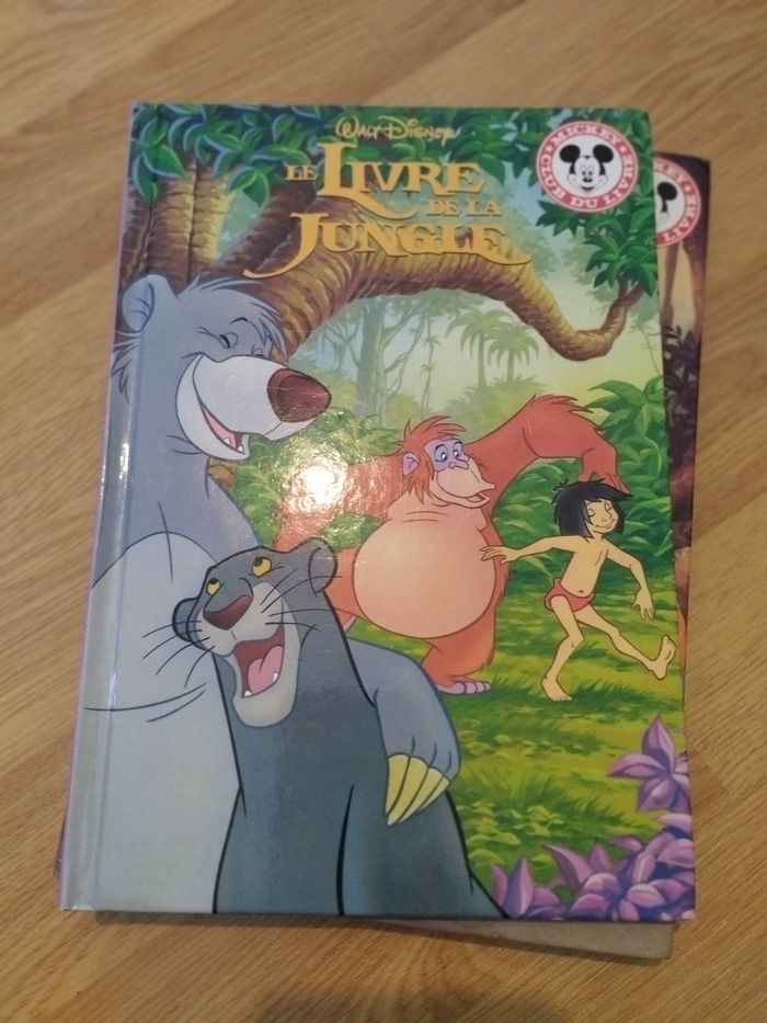 Lot Livres enfant Disney animaux - photo numéro 6