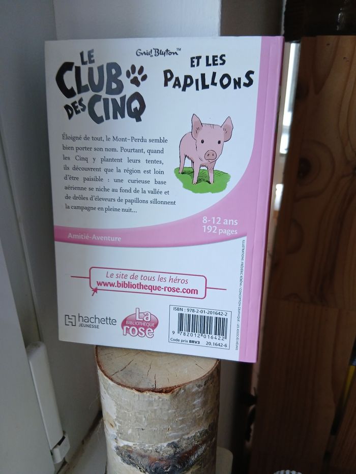 Le club des cinq et les papillons - photo numéro 2