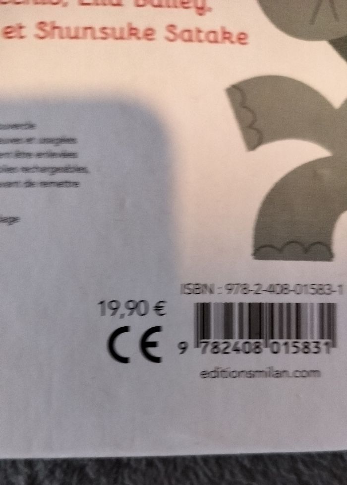 Livre recueil de comptines - photo numéro 4