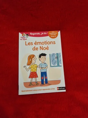 Livre regarde je lis mila et noé, les émotions de noé