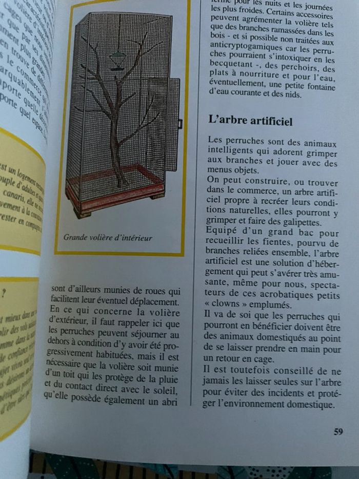 Les perruches ondulées 9782732816586 - photo numéro 3
