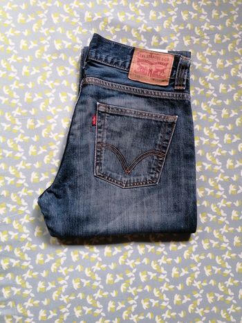 Jean Levis 506 W32 L34