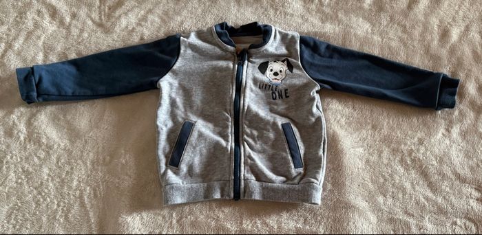 Ensemble 101 Dalmatiens - photo numéro 2