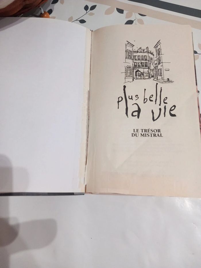 Livre Plus belle la vie - photo numéro 3