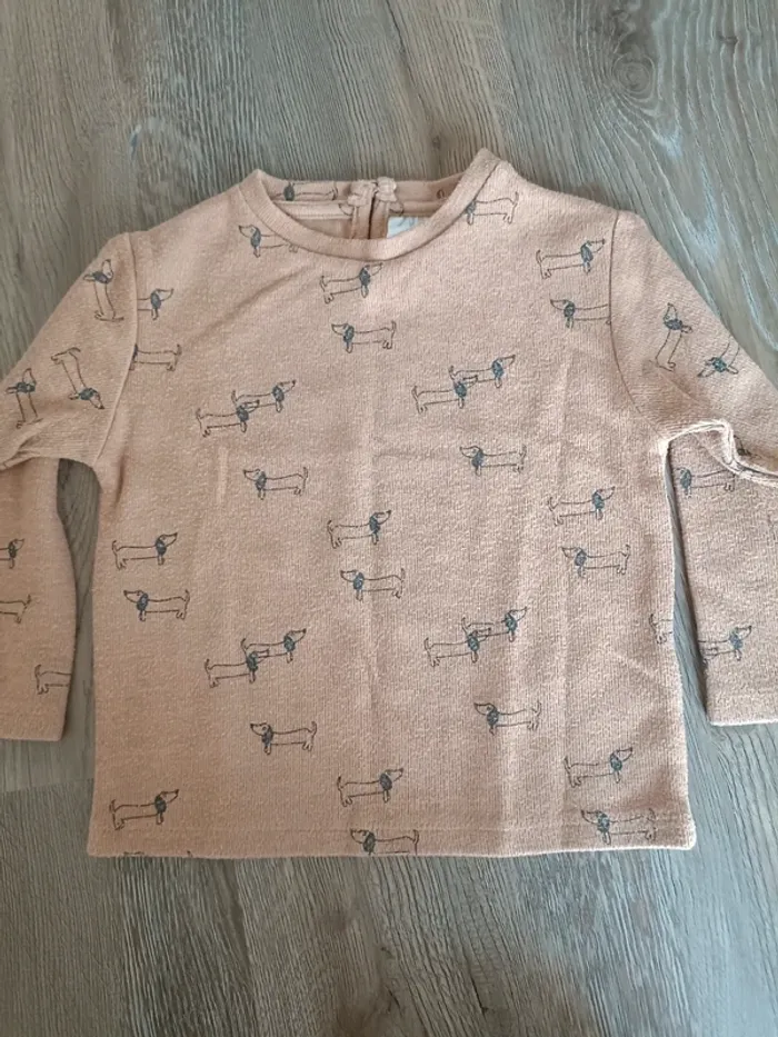 Pull fin chien