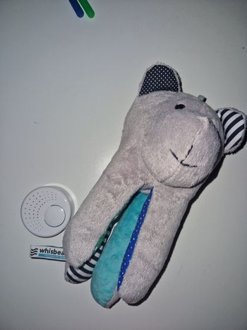 Oursons whisbear