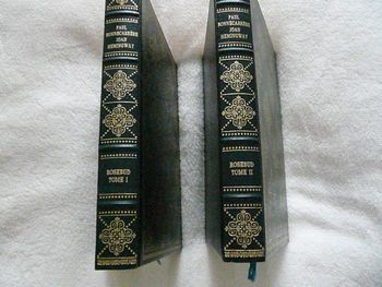 Livres de P. Bonnecarrère et J. Hemingway « Rosebud Tome 1 + 2»