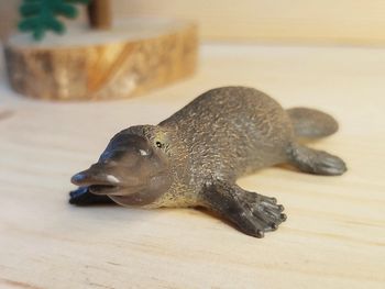 Schleich ornithoryque Figurine Animal de l'Océanie