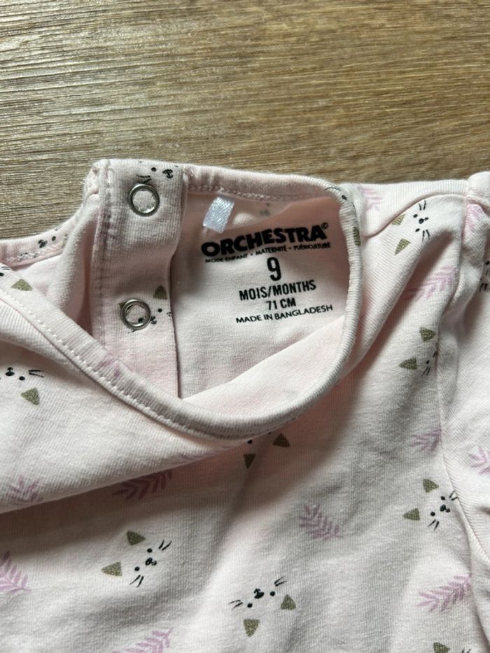 Haut chat - photo numéro 2