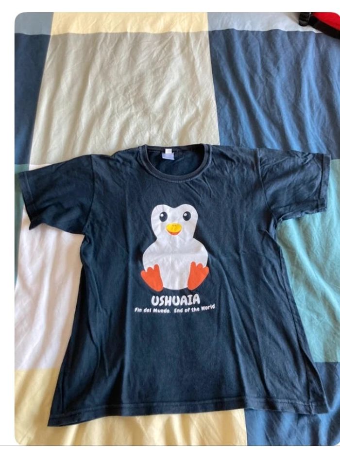 Lot de 10 Tee Shirt en 12 ans - photo numéro 4