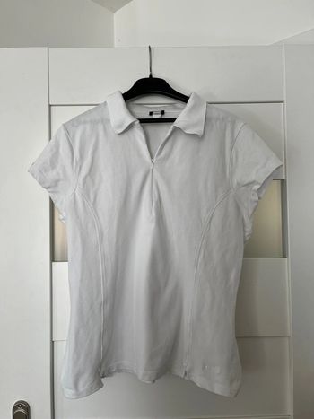 Polo 44