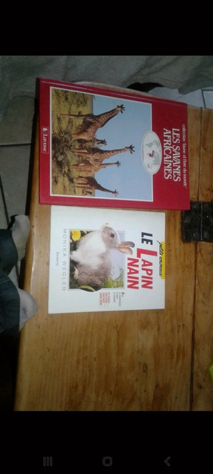 Lot livre animaux enfant