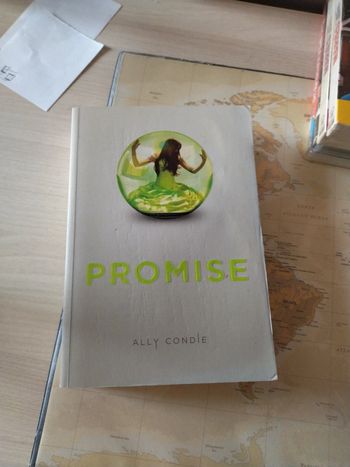 Livre Promise