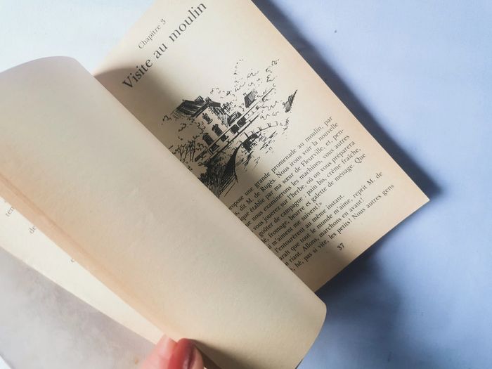 Les vacances livre de Comtesse de Ségur, bibliothèque rose - photo numéro 2