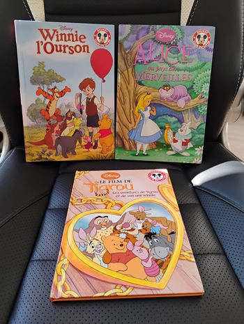 📚 Lot de livres Disney – Très bon état